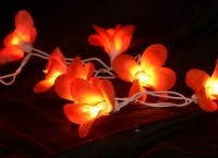 Orange frangipani lights_sml (2).jpg